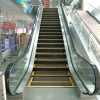 Escalator Lift
